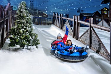Tickets voor Ski Dubai Snow Park